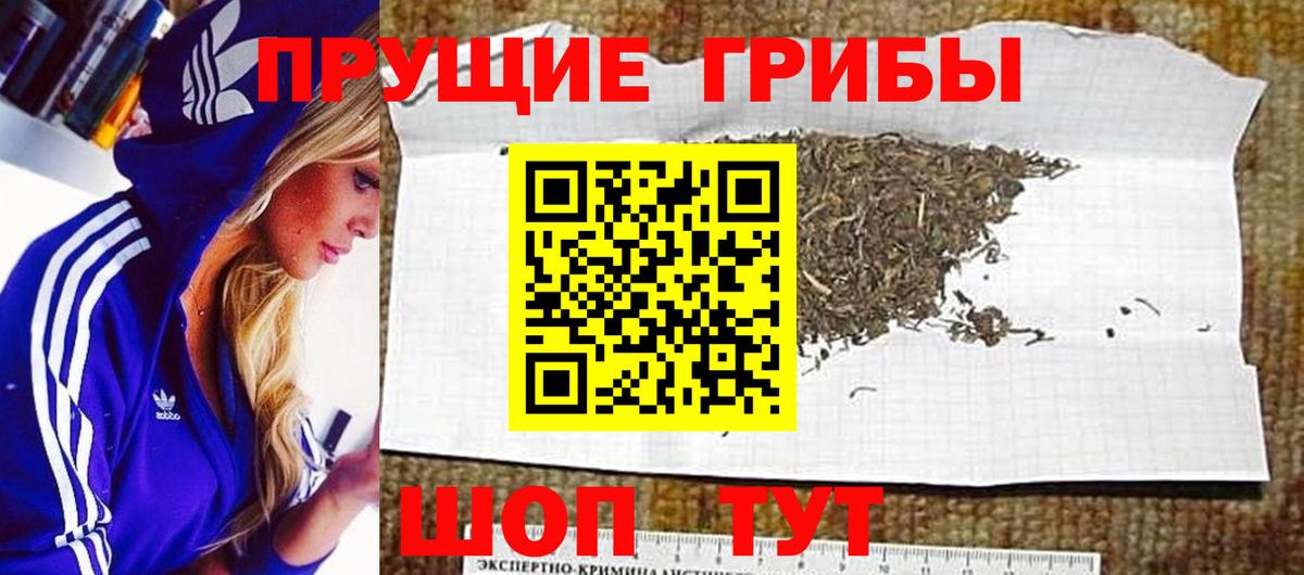 Псилоцибиновые грибы MAGIC MUSHROOMS Серов