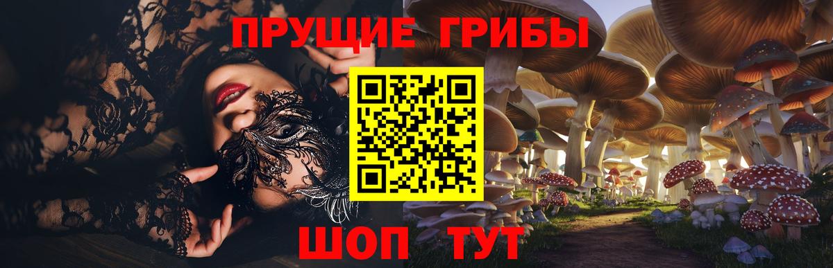 Галлюциногенные грибы Psilocybe  Вход с VPN  Серов  Галлюциногенные грибы MAGIC MUSHROOMS 